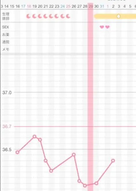 基礎体温