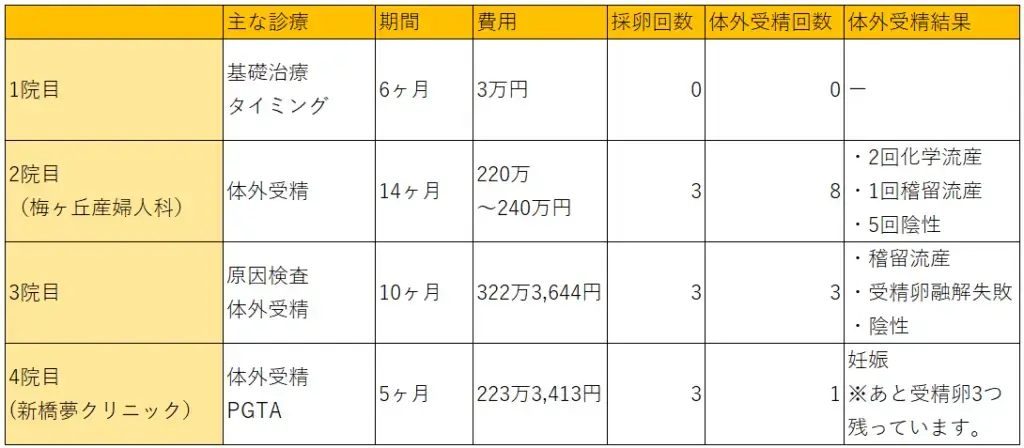 かかった費用一覧表